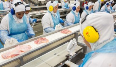 Boom des importations de poulet brésilien en Afrique ces dernières années - Chronique des matières premières
