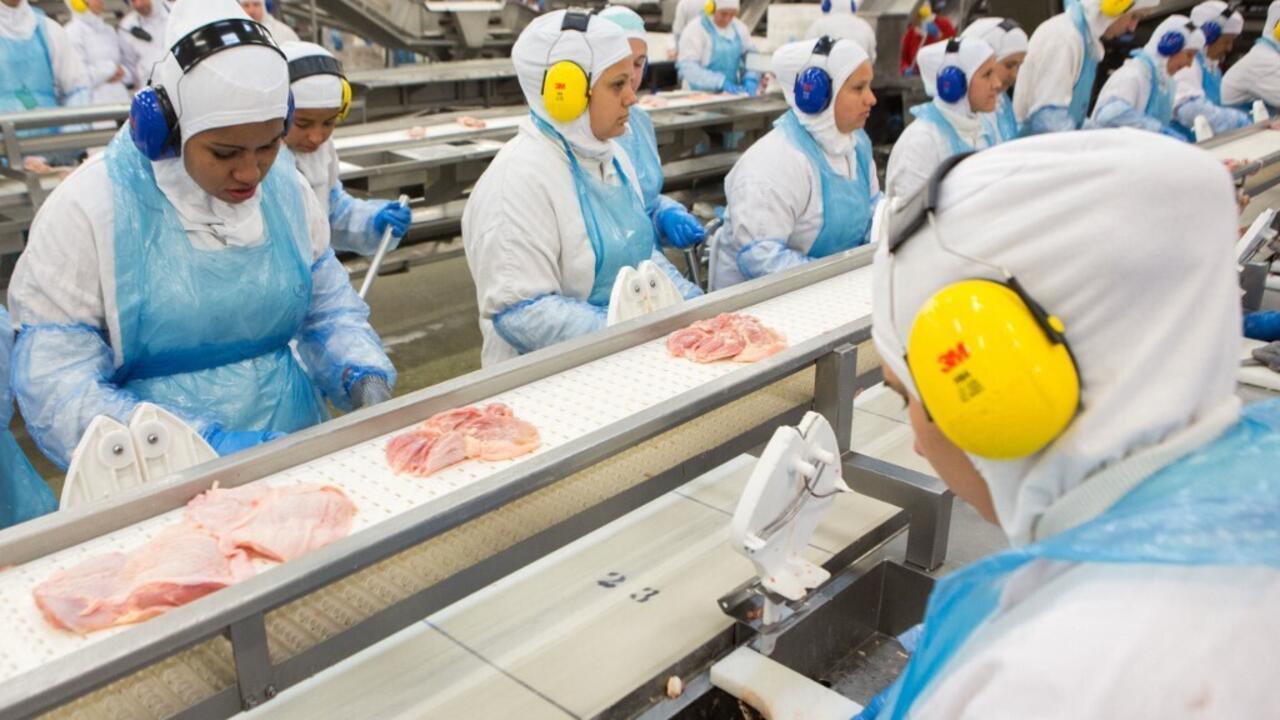 Boom des importations de poulet brésilien en Afrique ces dernières années - Chronique des matières premières