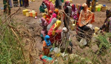 Kenya: Worsening Drought Kills Over 70 Livestock in Mandera Amid Calls for Aid