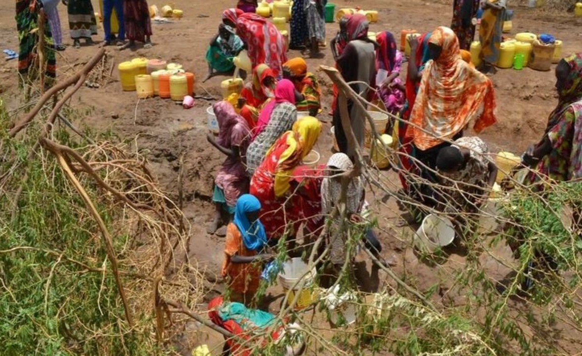 Kenya: Worsening Drought Kills Over 70 Livestock in Mandera Amid Calls for Aid
