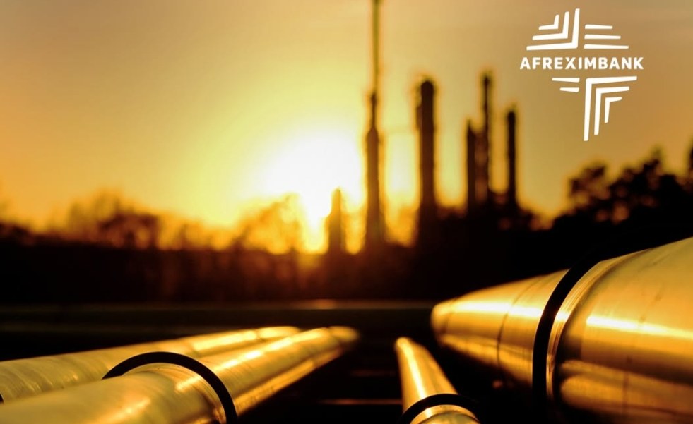 Afrique: Afreximbank soutient l'entrée de Levene Energy dans les infrastructures gazières au Nigeria