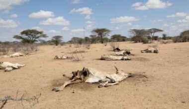 Red alert: Hunger crisis looms as drought tightens grip on counties