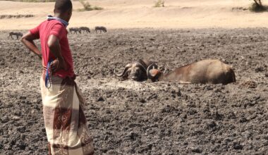 Kindiki convenes meet to assess drought crisis