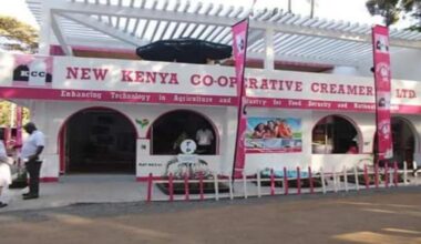 Leasing Plan Looms for New KCC after KSh 6 billion in Cos...