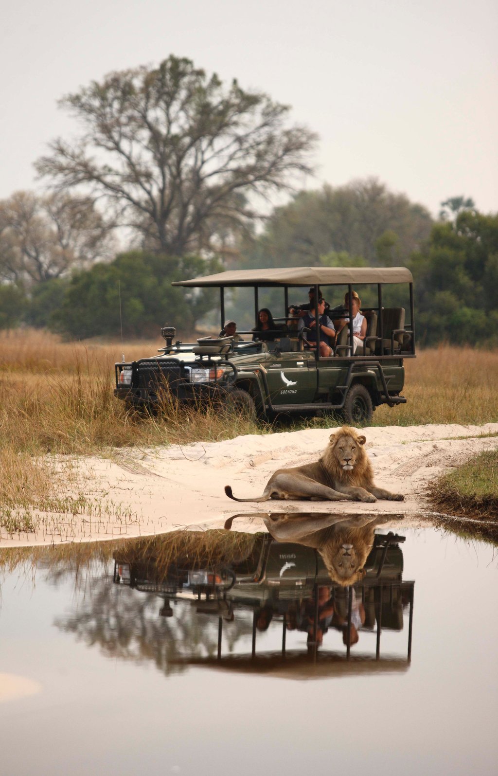 The game drive experience at andBeyond Sandibe Okavango Safari Lodge in Botswana. Photo: Handout