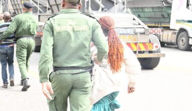 SA, Botswana consider relocating Groblersbrug border post as Beitbridge traffic shifts fuel congestion