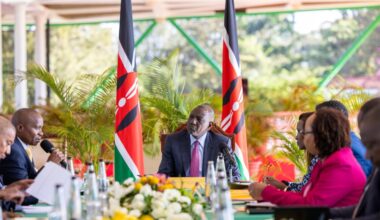 Havi to ditch UDA in renewed quest for Westlands MP seat