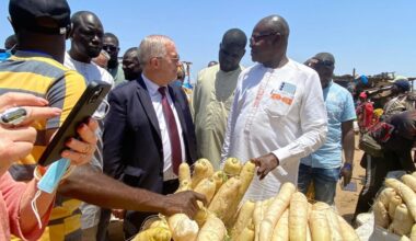 Pêche, transport, eau potable… Que prévoit la convention de Lorient Agglomération au Sénégal ?