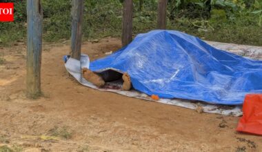 IS-linked fighters kill 14 in DR Congo attack