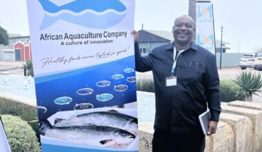 Could Namibia be salmon farming’s new frontier?