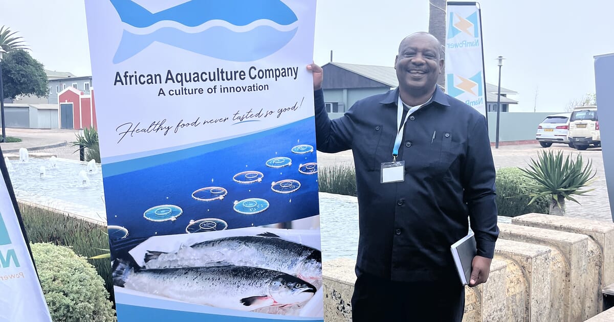Could Namibia be salmon farming’s new frontier?