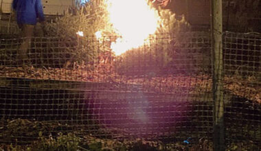 First Lutheran ends Christmas season with burning of the greens | News, Sports, Jobs