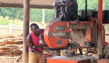 From Wood to Timber: How €15m is Transforming Uganda’s Forests into Jobs