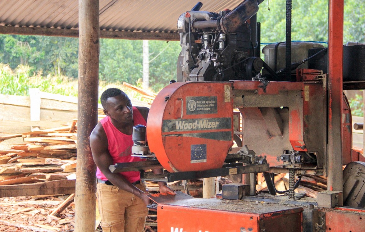 From Wood to Timber: How €15m is Transforming Uganda’s Forests into Jobs