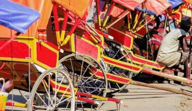 ATTA :: Madagascar - Tourism Confirms Its Recovery in 2025 and Looks Ahead to 2026