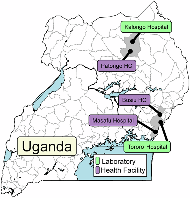 Changes in susceptibility of Plasmodium falciparum to antimalarial drugs in Uganda over time: 2019–2024