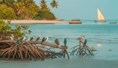 Kenya Tourism Boosted as Government Tackles Invasive Bird Species on Coastline, Everything You Need to Know