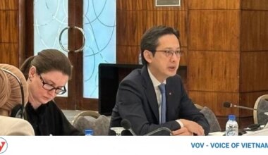 Vietnam chairs consultation on NPT RevCon 11 with Middle East, North Africa