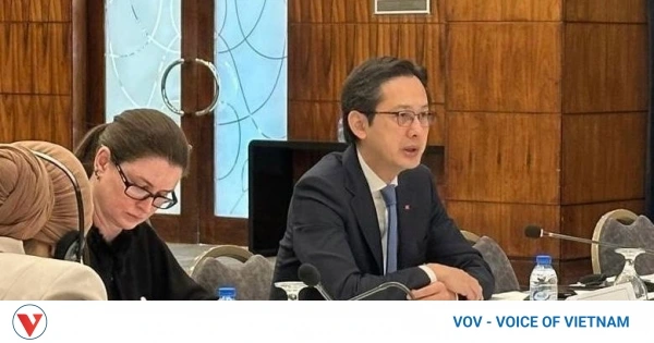 Vietnam chairs consultation on NPT RevCon 11 with Middle East, North Africa