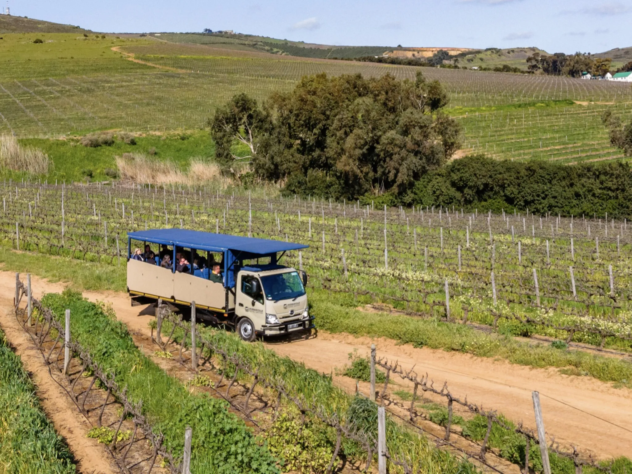 Durbanville Wine Safari