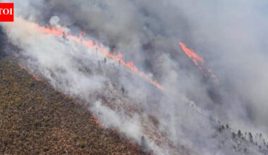 South Africa wildfires: Firefighters battle blazes spreading across Western Cape— what we know