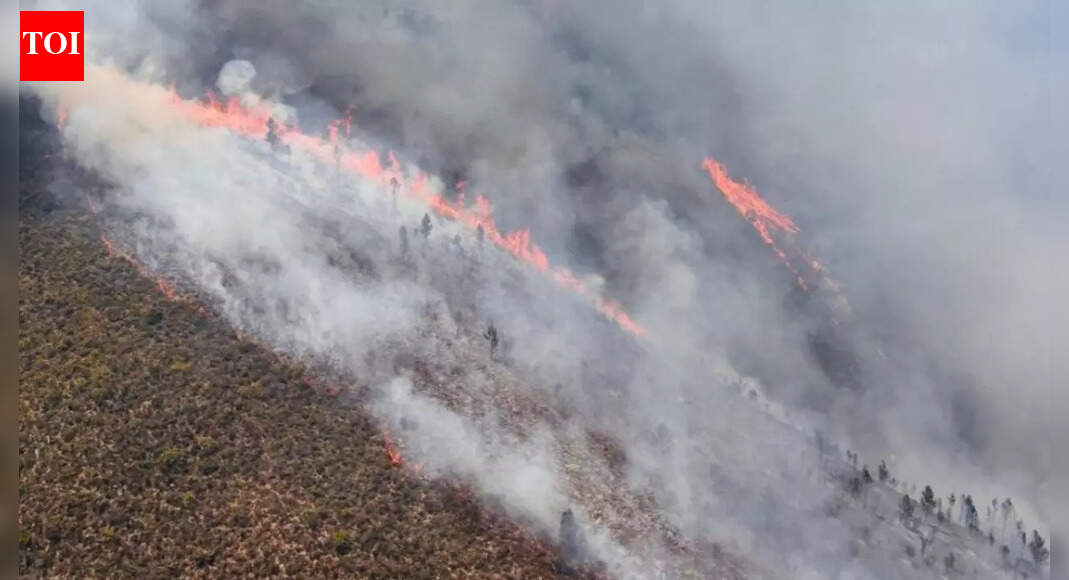 South Africa wildfires: Firefighters battle blazes spreading across Western Cape— what we know