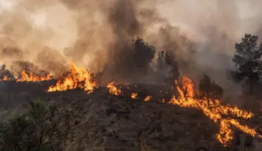 Wildfires burn 100,000+ hectares in South Africa’s Cape