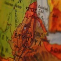 Türkiye seeks multi-sector cooperation with Ethiopia