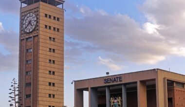 Kenya's Senate awaits public opinion on assisted reproductive technology bill