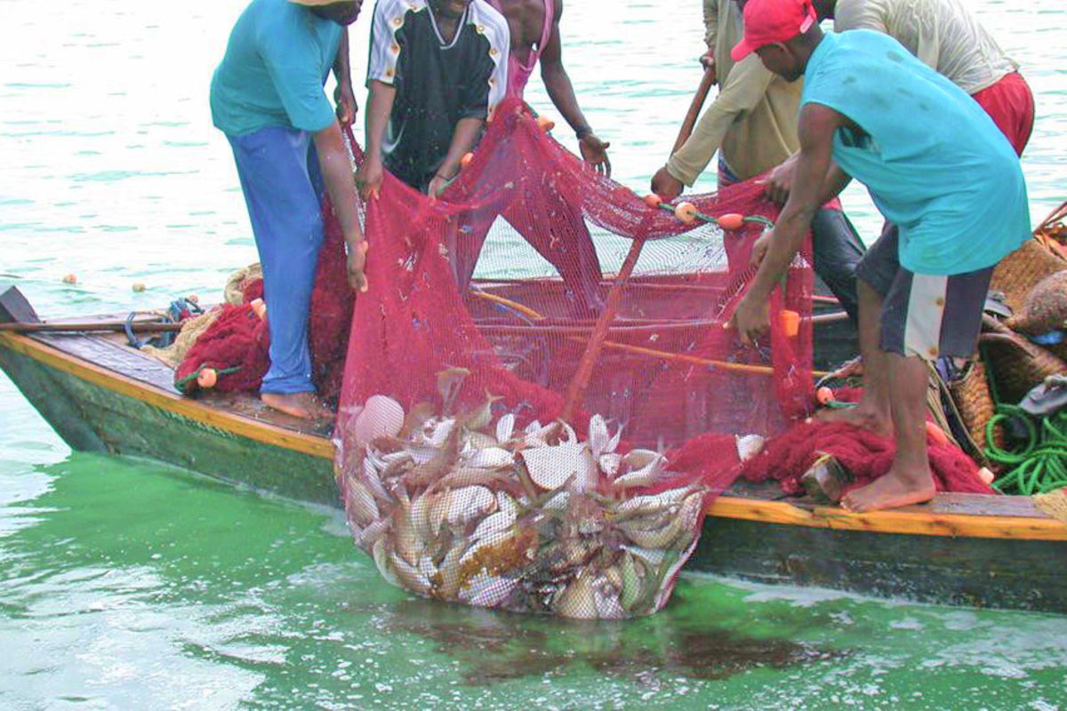 Inside the trade in FGM body parts linked to fishing success