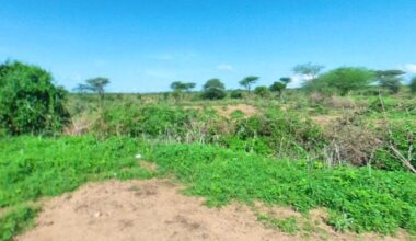 Afrique: Deux touristes tués dans le sud-ouest de l'Éthiopie