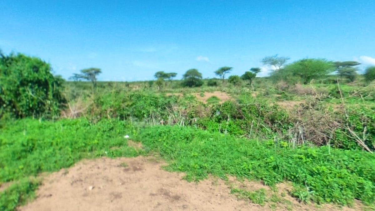 Afrique: Deux touristes tués dans le sud-ouest de l'Éthiopie