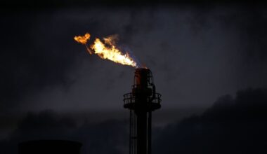 Nigeria Targets $3 Billion-a-Year Revenue From Carbon Trading