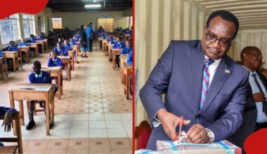 KNEC Releases 2025 KPSEA, KILEA Exam Results, Shares Steps on How to Check Learners' Report