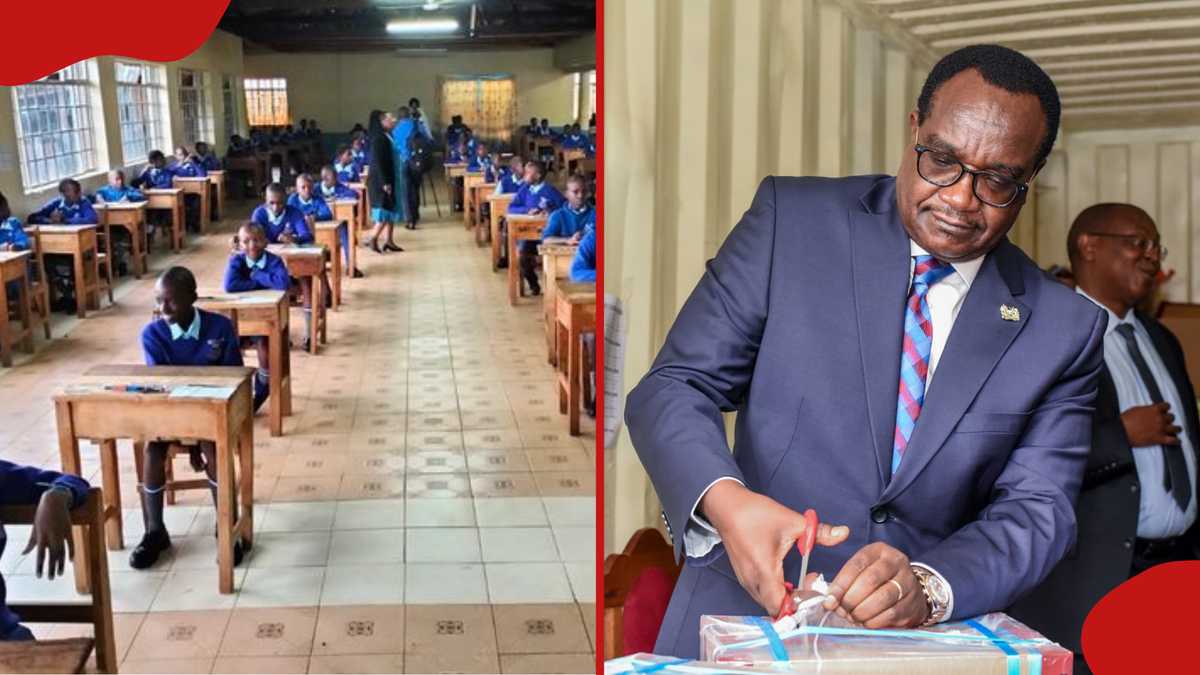 KNEC Releases 2025 KPSEA, KILEA Exam Results, Shares Steps on How to Check Learners' Report