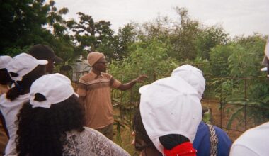 Dans l’œil de… Ismaël, au Sénégal où la jeunesse sème l’avenir