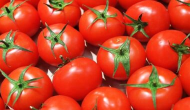 Les prix des tomates reculent à l’approche du mois de Ramadan