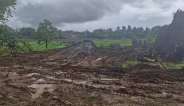 Harare Developments Blocked as EMA Moves to Save Wetlands