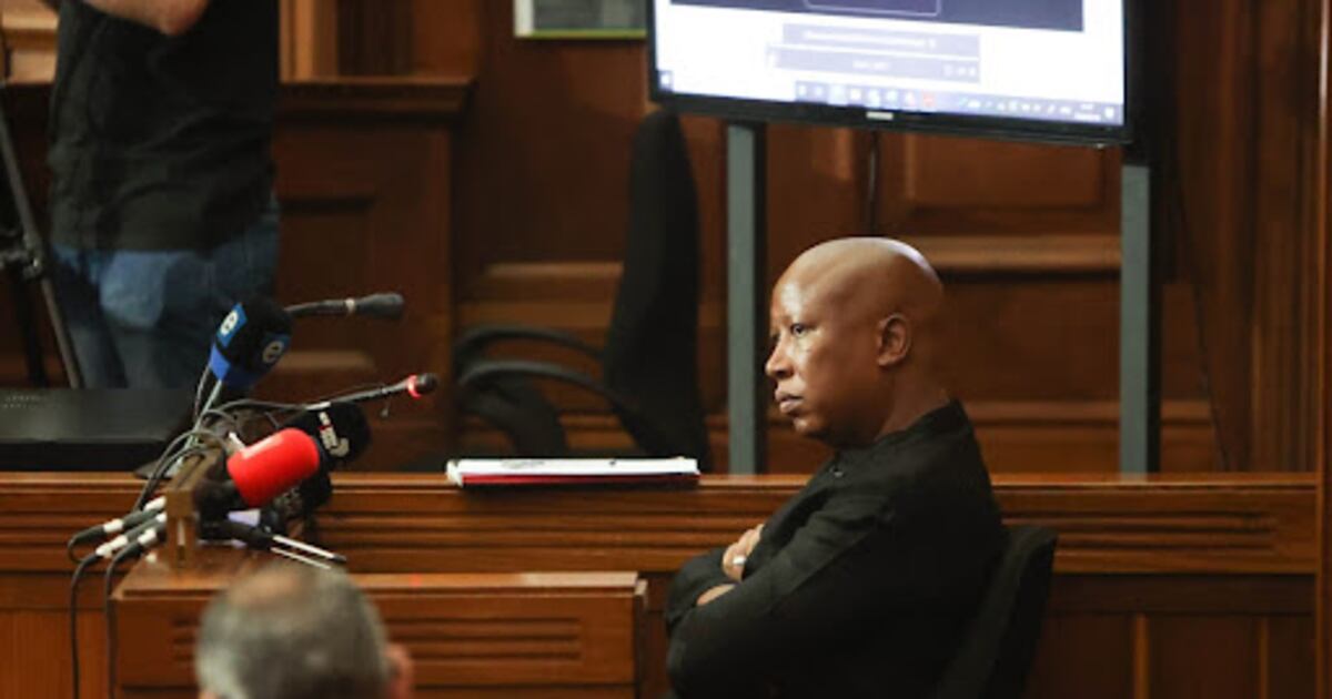 WATCH LIVE | Julius Malema in court for firearm offence pre-sentencing proceedings