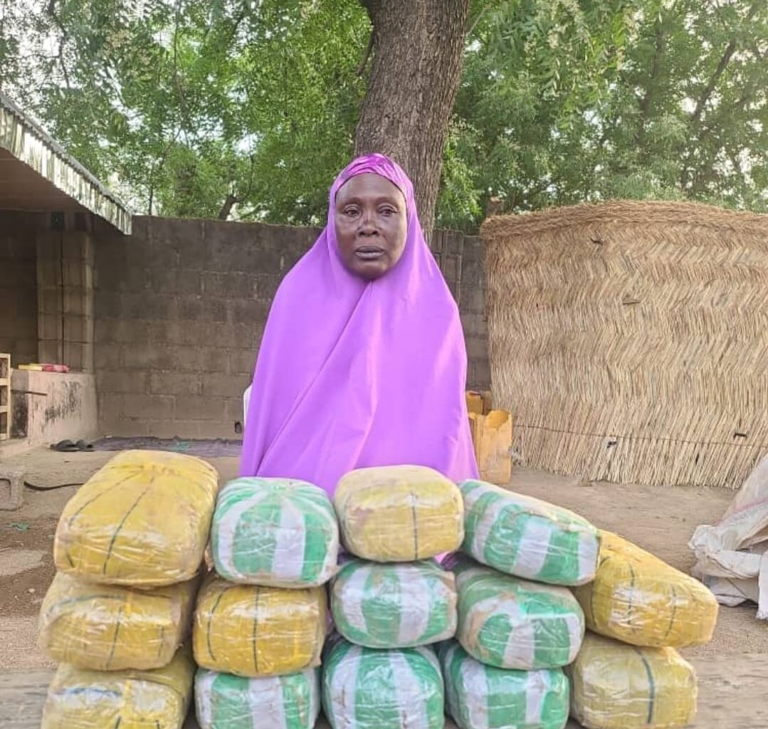 Troops Arrest 65-Year-Old Woman for Supplying Drugs to Boko Haram in Borno