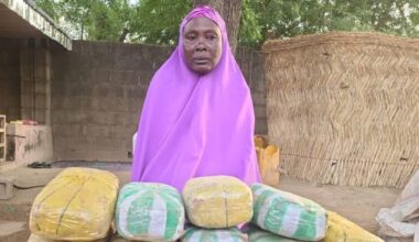 Troops Arrest 65-Year-Old Woman for Supplying Drugs to Boko Haram in Borno