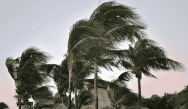 Jusqu’à 110 km/h : nouvelle alerte aux vents violents en Algérie