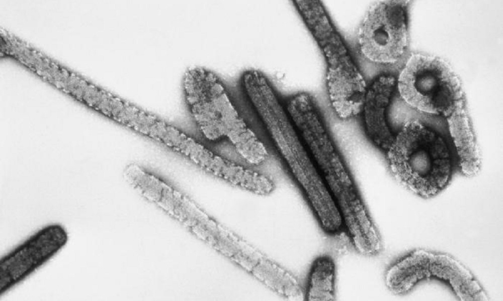 Ethiopia declares Marburg outbreak over after 42 days with no new cases