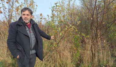 Reboiseur dans l’Orne, il plante les forêts de demain en étudiant l’évolution des arbres et du climat