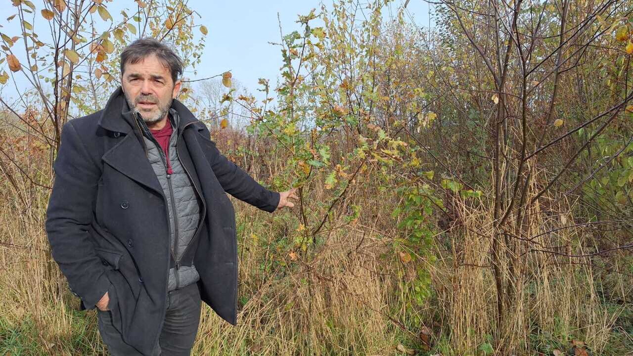 Reboiseur dans l’Orne, il plante les forêts de demain en étudiant l’évolution des arbres et du climat