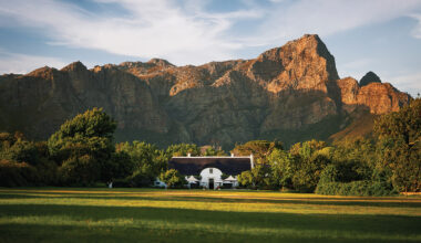 A French-Inflected Town in South Africa Has Become One of the Wine World’s Hottest Destinations