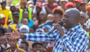 Why I'll not vie under UDA party again – MP Wamuchomba