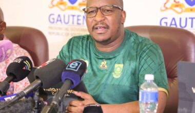 Some Gauteng pupils placed temporarily in schools as GDE battles capacity issues