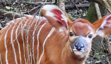 Wamatangi's businesses near Nyayo Stadium demolished