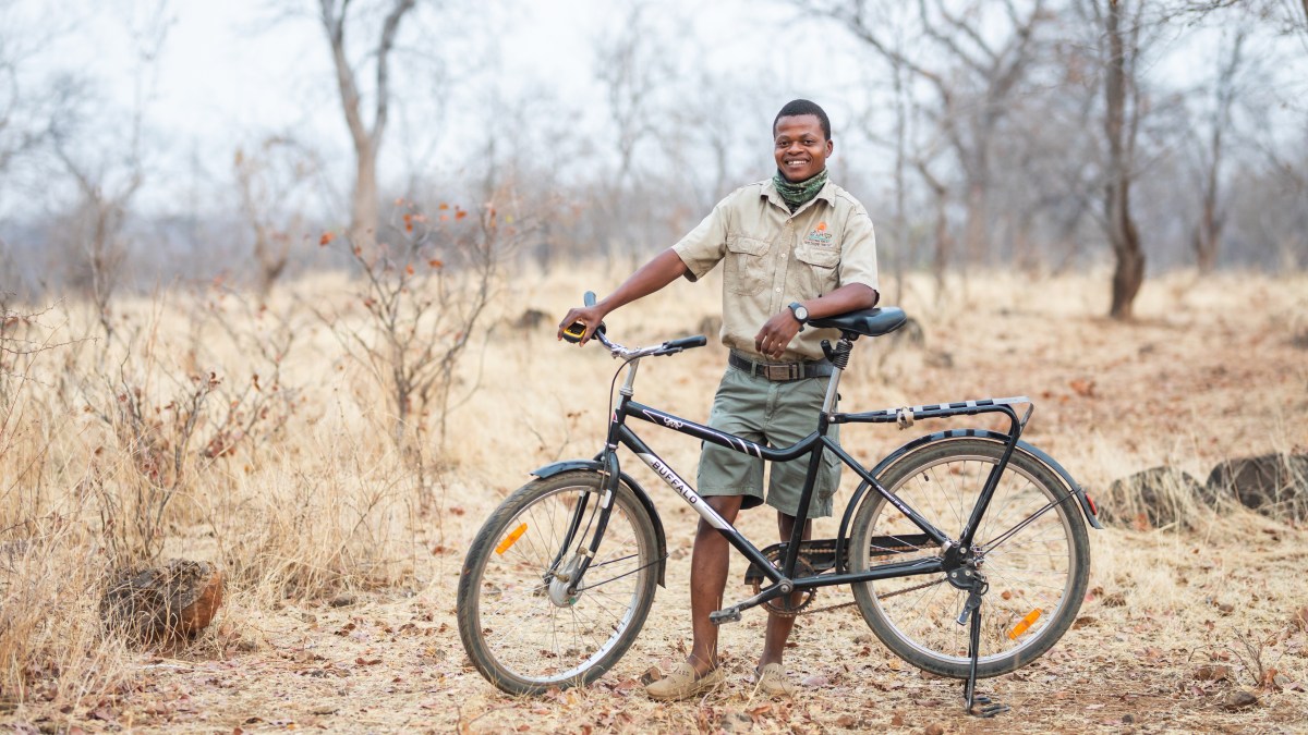 ‘On my Buffalo Bicycle, a lion won’t know what animal I am’